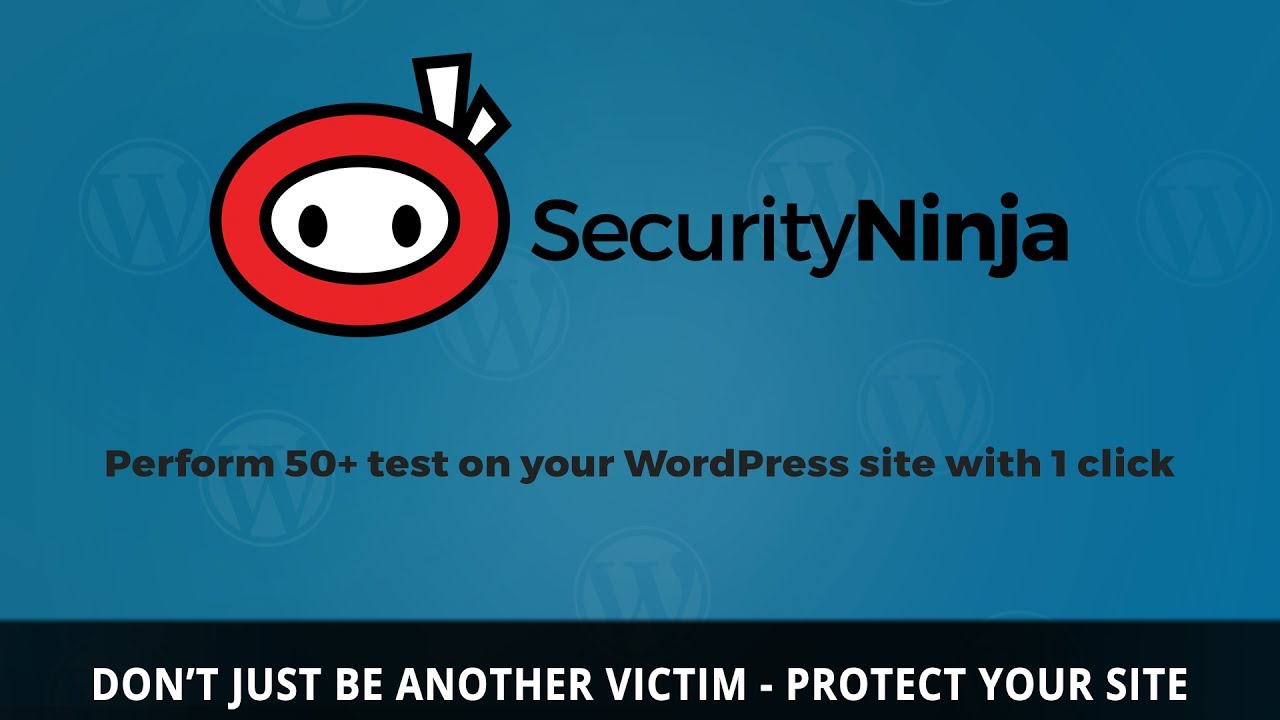 security ninja review